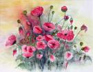 116__Mohnblumen__Aquarell__50 x 60cm__V.jpg
